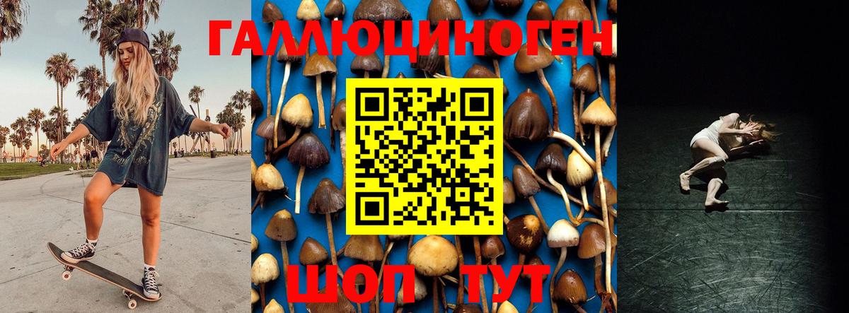 Псилоцибиновые грибы Cubensis  Вход с VPN  Усинск 